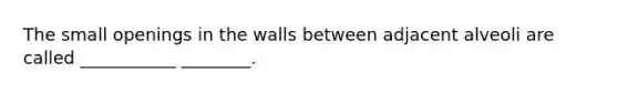 The small openings in the walls between adjacent alveoli are called ___________ ________.