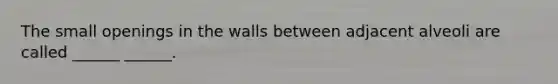 The small openings in the walls between adjacent alveoli are called ______ ______.