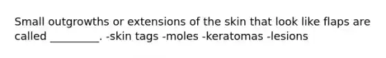 Small outgrowths or extensions of the skin that look like flaps are called _________. -skin tags -moles -keratomas -lesions