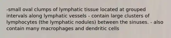 -small oval clumps of lymphatic tissue located at grouped intervals along lymphatic vessels - contain large clusters of lymphocytes (the lymphatic nodules) between the sinuses. - also contain many macrophages and dendritic cells