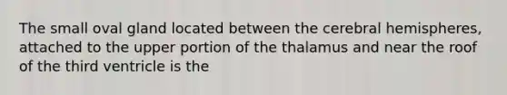 The small oval gland located between the cerebral hemispheres, attached to the upper portion of the thalamus and near the roof of the third ventricle is the