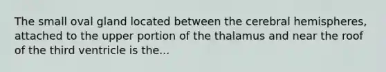 The small oval gland located between the cerebral hemispheres, attached to the upper portion of the thalamus and near the roof of the third ventricle is the...