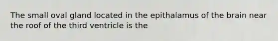 The small oval gland located in the epithalamus of the brain near the roof of the third ventricle is the