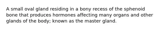 A small oval gland residing in a bony recess of the sphenoid bone that produces hormones affecting many organs and other glands of the body; known as the master gland.