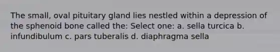 The small, oval pituitary gland lies nestled within a depression of the sphenoid bone called the: Select one: a. sella turcica b. infundibulum c. pars tuberalis d. diaphragma sella