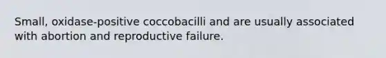 Small, oxidase-positive coccobacilli and are usually associated with abortion and reproductive failure.