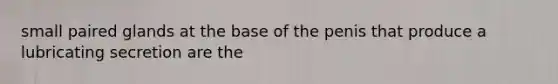 small paired glands at the base of the penis that produce a lubricating secretion are the