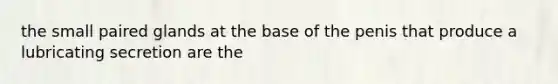 the small paired glands at the base of the penis that produce a lubricating secretion are the