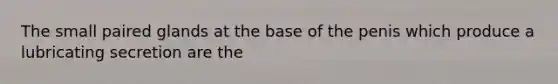 The small paired glands at the base of the penis which produce a lubricating secretion are the