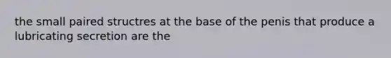 the small paired structres at the base of the penis that produce a lubricating secretion are the