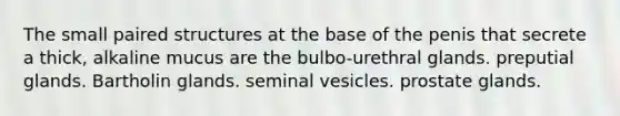 The small paired structures at the base of the penis that secrete a thick, alkaline mucus are the bulbo-urethral glands. preputial glands. Bartholin glands. seminal vesicles. prostate glands.