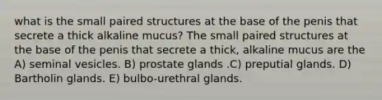 what is the small paired structures at the base of the penis that secrete a thick alkaline mucus? The small paired structures at the base of the penis that secrete a thick, alkaline mucus are the A) seminal vesicles. B) prostate glands .C) preputial glands. D) Bartholin glands. E) bulbo-urethral glands.