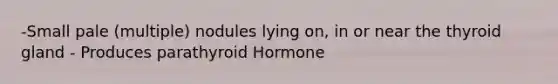-Small pale (multiple) nodules lying on, in or near the thyroid gland - Produces parathyroid Hormone
