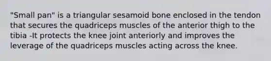 "Small pan" is a triangular sesamoid bone enclosed in the tendon that secures the quadriceps muscles of the anterior thigh to the tibia -It protects the knee joint anteriorly and improves the leverage of the quadriceps muscles acting across the knee.