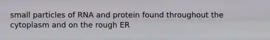 small particles of RNA and protein found throughout the cytoplasm and on the rough ER