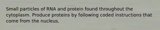 Small particles of RNA and protein found throughout the cytoplasm. Produce proteins by following coded instructions that come from the nucleus.