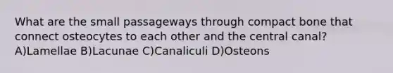 What are the small passageways through compact bone that connect osteocytes to each other and the central canal? A)Lamellae B)Lacunae C)Canaliculi D)Osteons