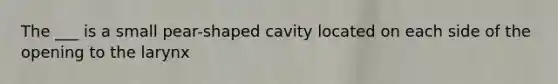 The ___ is a small pear-shaped cavity located on each side of the opening to the larynx