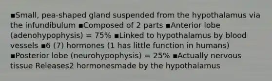 ▪Small, pea-shaped gland suspended from the hypothalamus via the infundibulum ▪Composed of 2 parts ▪Anterior lobe (adenohypophysis) = 75% ▪Linked to hypothalamus by blood vessels ▪6 (7) hormones (1 has little function in humans) ▪Posterior lobe (neurohypophysis) = 25% ▪Actually nervous tissue Releases2 hormonesmade by the hypothalamus