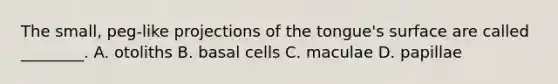 The small, peg-like projections of the tongue's surface are called ________. A. otoliths B. basal cells C. maculae D. papillae