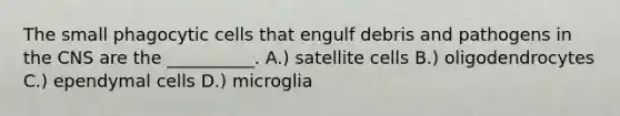 The small phagocytic cells that engulf debris and pathogens in the CNS are the __________. A.) satellite cells B.) oligodendrocytes C.) ependymal cells D.) microglia