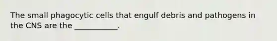 The small phagocytic cells that engulf debris and pathogens in the CNS are the ___________.