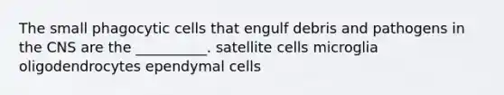 The small phagocytic cells that engulf debris and pathogens in the CNS are the __________. satellite cells microglia oligodendrocytes ependymal cells