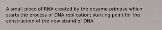 A small piece of RNA created by the enzyme primase which starts the process of DNA replication; starting point for the construction of the new strand of DNA