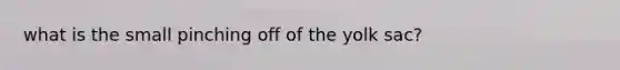 what is the small pinching off of the yolk sac?