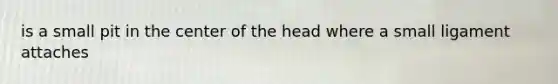 is a small pit in the center of the head where a small ligament attaches