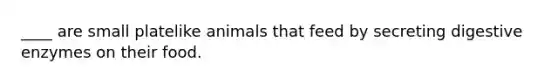 ____ are small platelike animals that feed by secreting digestive enzymes on their food.