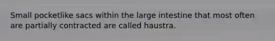 Small pocketlike sacs within the large intestine that most often are partially contracted are called haustra.