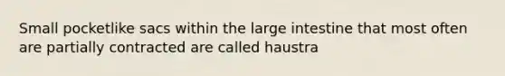 Small pocketlike sacs within the large intestine that most often are partially contracted are called haustra