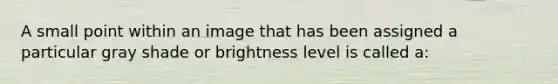 A small point within an image that has been assigned a particular gray shade or brightness level is called a: