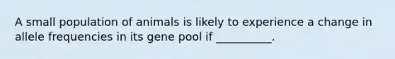 A small population of animals is likely to experience a change in allele frequencies in its gene pool if __________.