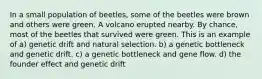 In a small population of beetles, some of the beetles were brown and others were green. A volcano erupted nearby. By chance, most of the beetles that survived were green. This is an example of a) genetic drift and natural selection. b) a genetic bottleneck and genetic drift. c) a genetic bottleneck and gene flow. d) the founder effect and genetic drift