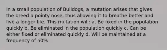 In a small population of Bulldogs, a mutation arises that gives the breed a pointy nose, thus allowing it to breathe better and live a longer life. This mutation will: a. Be fixed in the population quickly b. Be eliminated in the population quickly c. Can be either fixed or eliminated quickly d. Will be maintained at a frequency of 50%