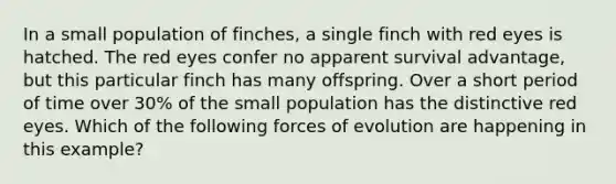 In a small population of finches, a single finch with red eyes is hatched. The red eyes confer no apparent survival advantage, but this particular finch has many offspring. Over a short period of time over 30% of the small population has the distinctive red eyes. Which of the following forces of evolution are happening in this example?