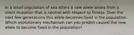 In a small population of sea otters a new allele arises from a silent mutation that is neutral with respect to fitness. Over the next few generations this allele becomes fixed in the population. Which evolutionary mechanism can you predict caused the new allele to become fixed in the population?