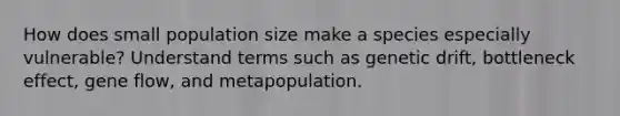 How does small population size make a species especially vulnerable? Understand terms such as genetic drift, bottleneck effect, gene flow, and metapopulation.