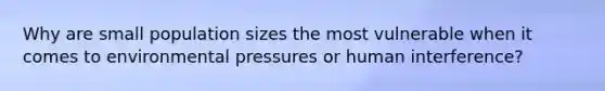 Why are small population sizes the most vulnerable when it comes to environmental pressures or human interference?