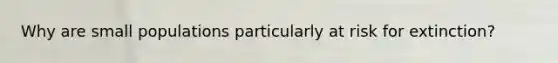 Why are small populations particularly at risk for extinction?