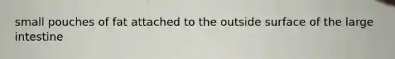small pouches of fat attached to the outside surface of the <a href='https://www.questionai.com/knowledge/kGQjby07OK-large-intestine' class='anchor-knowledge'>large intestine</a>