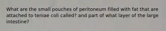 What are the small pouches of peritoneum filled with fat that are attached to teniae coli called? and part of what layer of the large intestine?