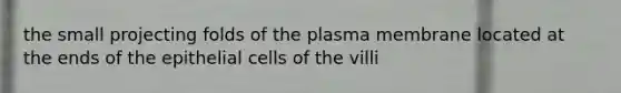 the small projecting folds of the plasma membrane located at the ends of the epithelial cells of the villi