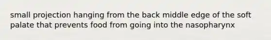small projection hanging from the back middle edge of the soft palate that prevents food from going into the nasopharynx