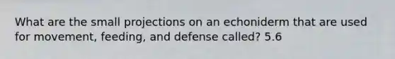 What are the small projections on an echoniderm that are used for movement, feeding, and defense called? 5.6