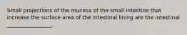 Small projections of the mucosa of the small intestine that increase the surface area of the intestinal lining are the intestinal _________________.
