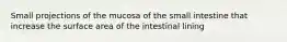 Small projections of the mucosa of the small intestine that increase the surface area of the intestinal lining