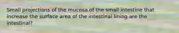 Small projections of the mucosa of the small intestine that increase the surface area of the intestinal lining are the intestinal?